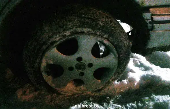 Фото: gaibrest.by