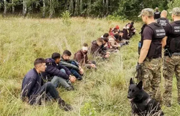Польскія памежнікі затрымліваюць мігрантаў з тэрыторыі Беларусі / strazgraniczna.pl