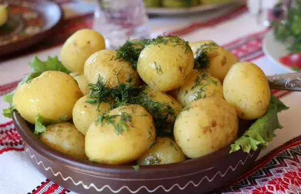 Куды і чаму знікла беларуская бульба
