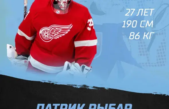 Патрик Рибар / hcdinamo.by