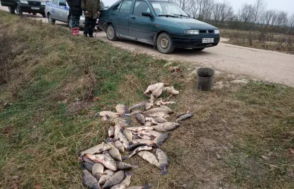 Фото: ГАИ