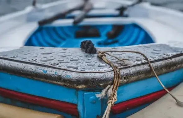 Фото: БЕЛТА