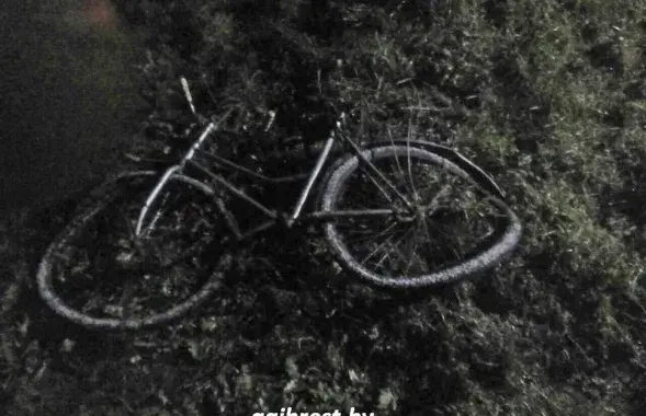 Фото: gaibrest.by