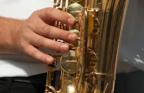 Фото: pixabay.com