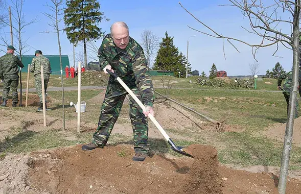 Александр Лукашенко на субботнике в 2019 году / president.gov.by​