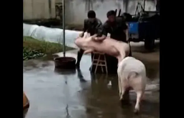 Фото: скриншот с видео.​