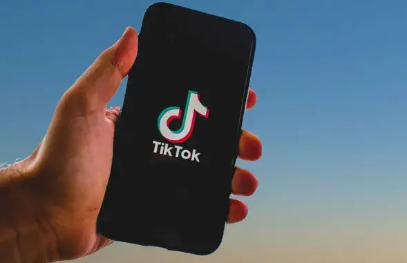 Propagandists are now in TikTok/ pixabay.com