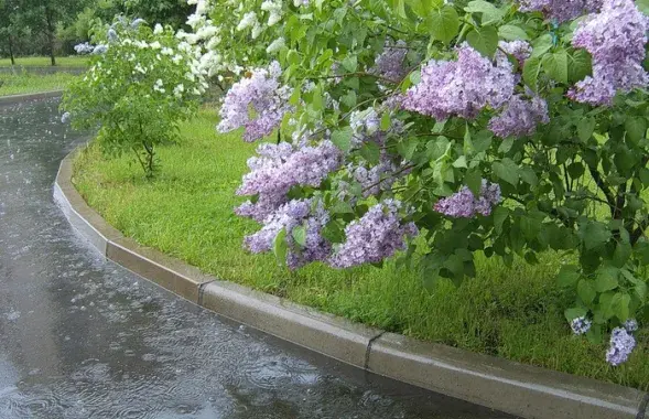 Фото из архива