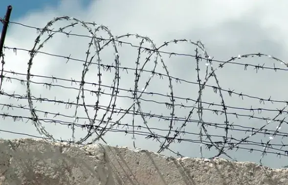 Фото: БЕЛТА