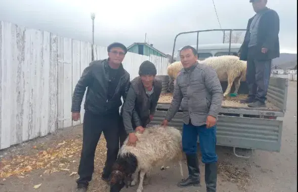 В Туве за мобилизованных дают баранов / Пресс-служба правительства Тувы
