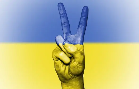 Западные политики против референдумов на востоке Украины / pixabay.com
