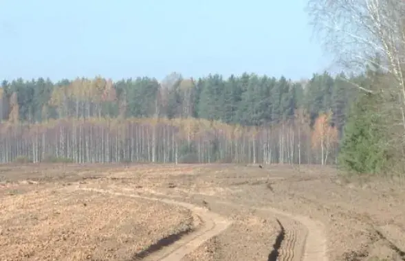 Фото: СТВ