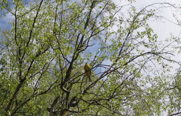 Фото из архива