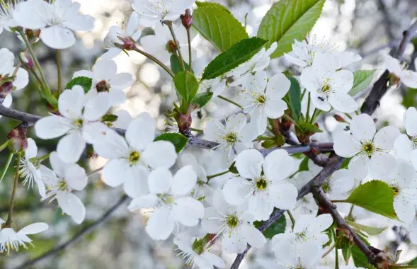 Фото из архива