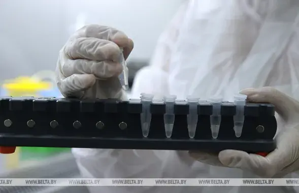 Коронавирус в Беларуси / БЕЛТА​