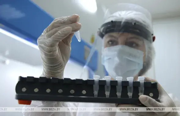 Коронавирус в Беларуси / БЕЛТА​