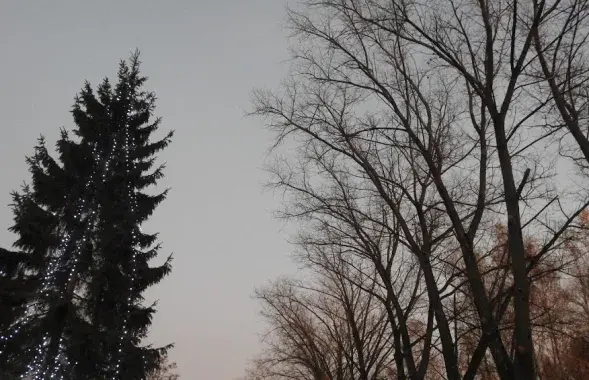 Панылая зіма ў Беларусі / Еўрарадыё