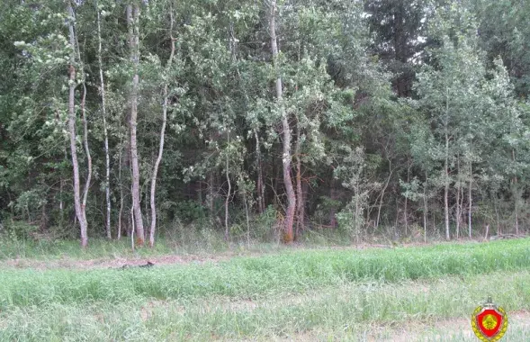 Фото с места происшествия: sudexpert.gov.by​