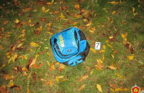 Фото: sudexpert.gov.by