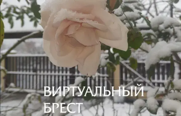 Ружы пад снегам у Брэсце