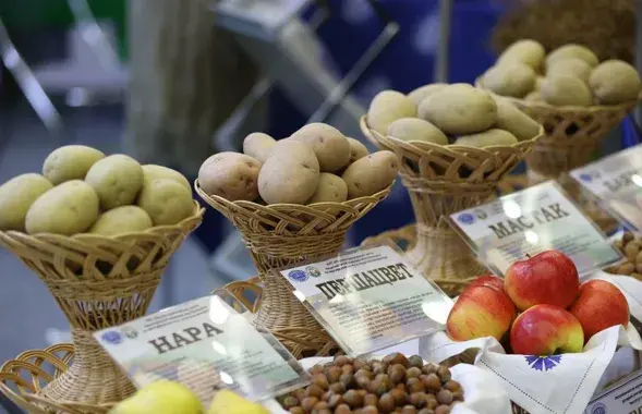 Бульба на выставе "Беларусь інтэлектуальная"