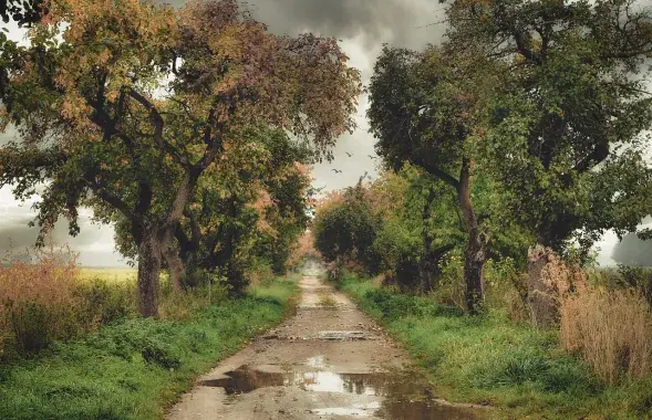 Лужа, иллюстративное фото&nbsp;
