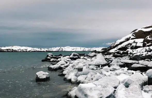 Арктика
