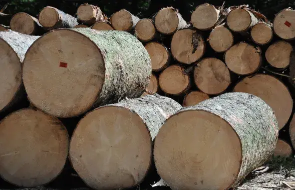 Часцей за ўсй няшчасныя выпадкі здараліся падчас укладвання піламатэрыялаў, ілюстрацыйнае фота
