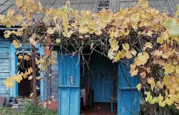 Бацькоўская хата Аляксея Дзікавіцкага
