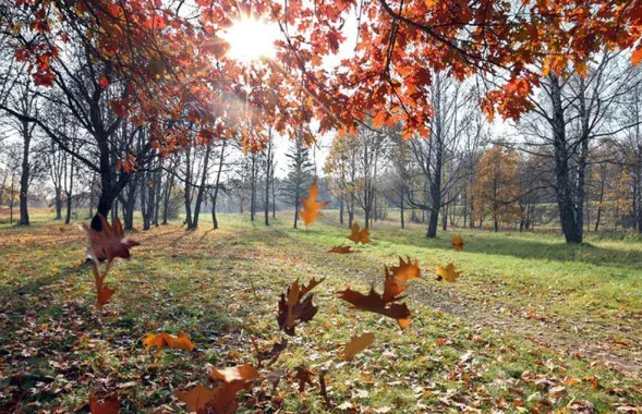 В Беларуси похолодало&nbsp;
