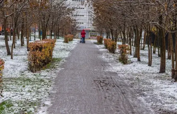 У Беларусі выпаў першы снег
