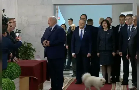 Александр Лукашенко со шпицем