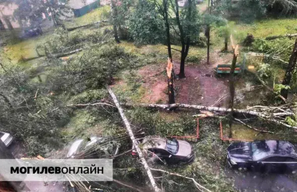 Наступствы ўрагана ў Магілёве
