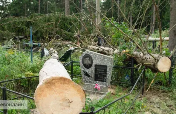 Магілёўскія могілкі пасля ўрагану
