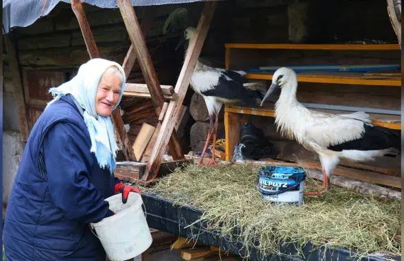 Янина Буракевич
