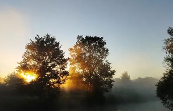 Природа Беларуси