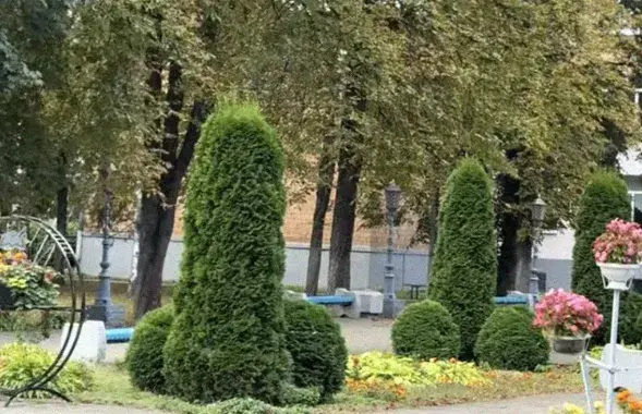 Як столінскі каледж стаў зоркай ціктока

&nbsp;

