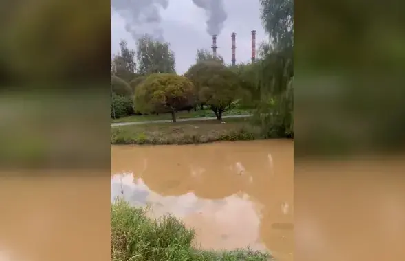 Мингоркомприроды начало разбирательство
