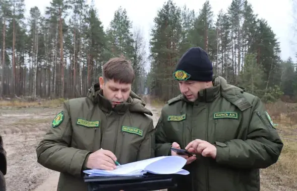 Лесники, иллюстративное фото
