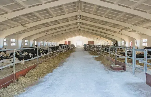 Такімі дадзенымі з Еўрарадыё падзяліўся BELPOL
