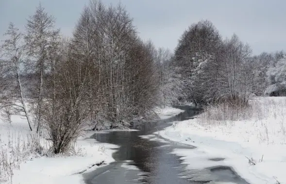 У Мазырскім раёне скасавалі помнік прыроды
