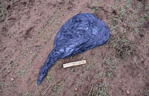 Кантрабандны метэазонд
