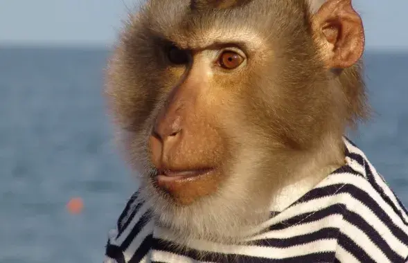 Власти Беларуси планируют выход к морю
