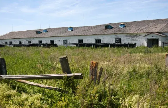 Разруха в колхозе. Фото носит иллюстративный характер
