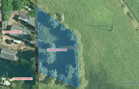 Участак, які прадаюць на аўкцыёне
