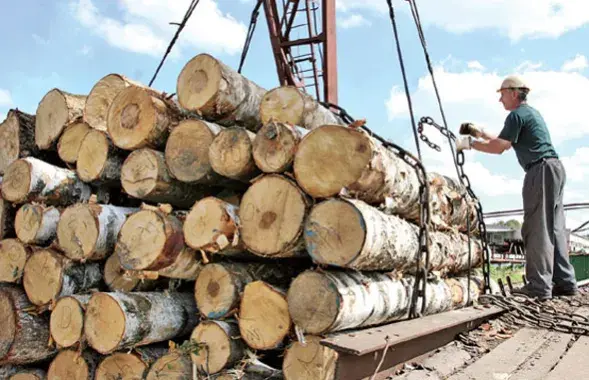 Былы гендырэктар "Барысаўдрэва" асуджаны на тры гады калоніі