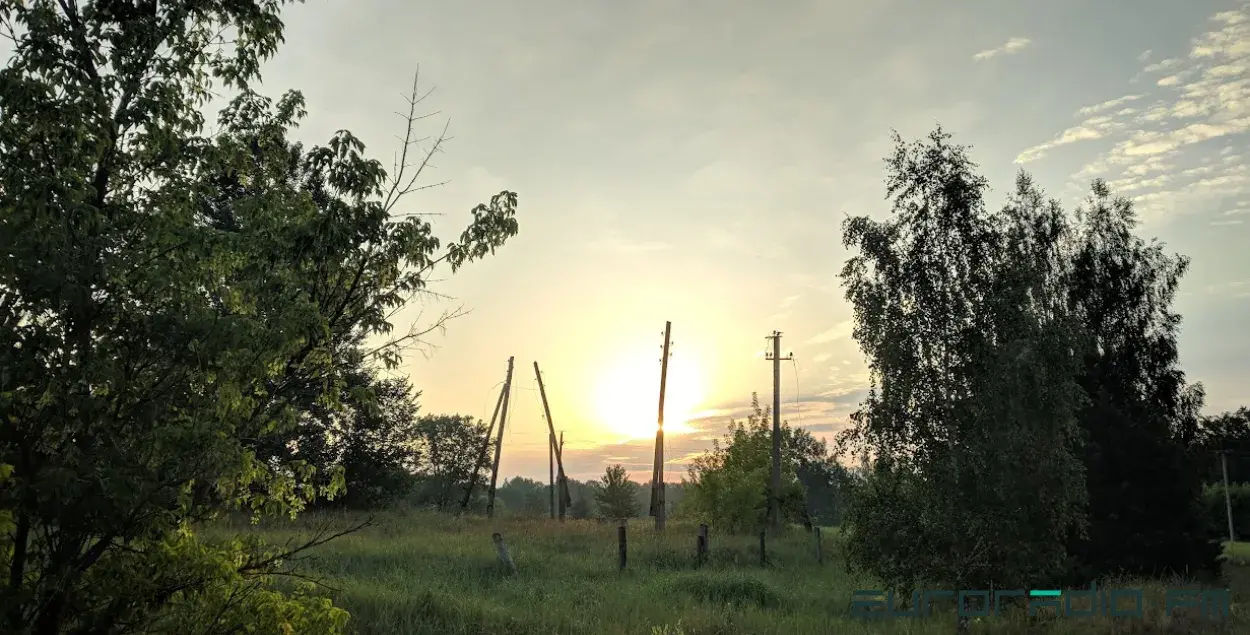 Лясы ў Беларусі / Еўрарадыё