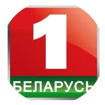 От "поддержки Лукашенко" до штурмовых навыков: госы об акциях против интеграции