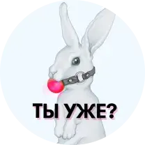 Секс, стартапы и феминизм: о чём говорят в белорусских подкастах
