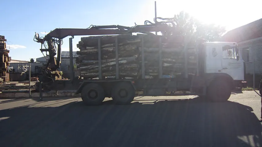 З грузавіка на пешахода звалілася бервяно (фота)